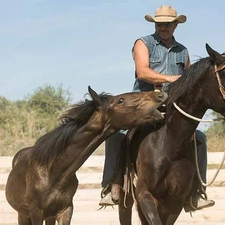 Red Cedar Ranch בית הארחה