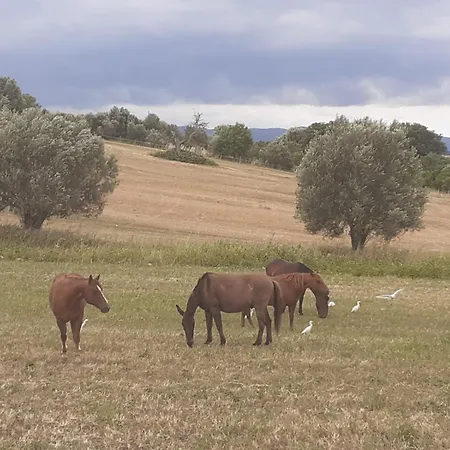 Vendégház Red Cedar Ranch Monte Romano