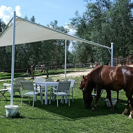 Red Cedar Ranch 3*