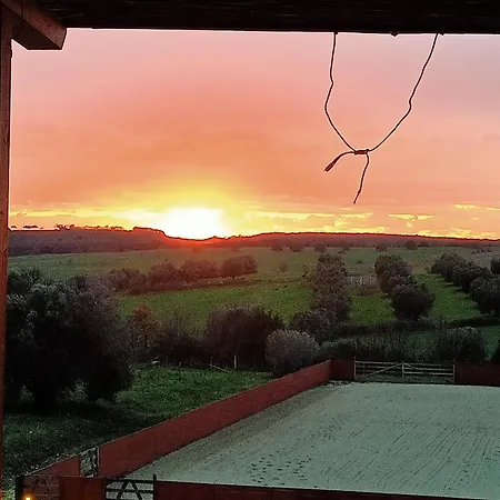 Red Cedar Ranch בית הארחה