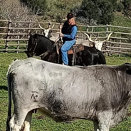 Vendégház Red Cedar Ranch Monte Romano